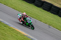 PJ-Motorsport-2019;anglesey-no-limits-trackday;anglesey-photographs;anglesey-trackday-photographs;enduro-digital-images;event-digital-images;eventdigitalimages;no-limits-trackdays;peter-wileman-photography;racing-digital-images;trac-mon;trackday-digital-images;trackday-photos;ty-croes